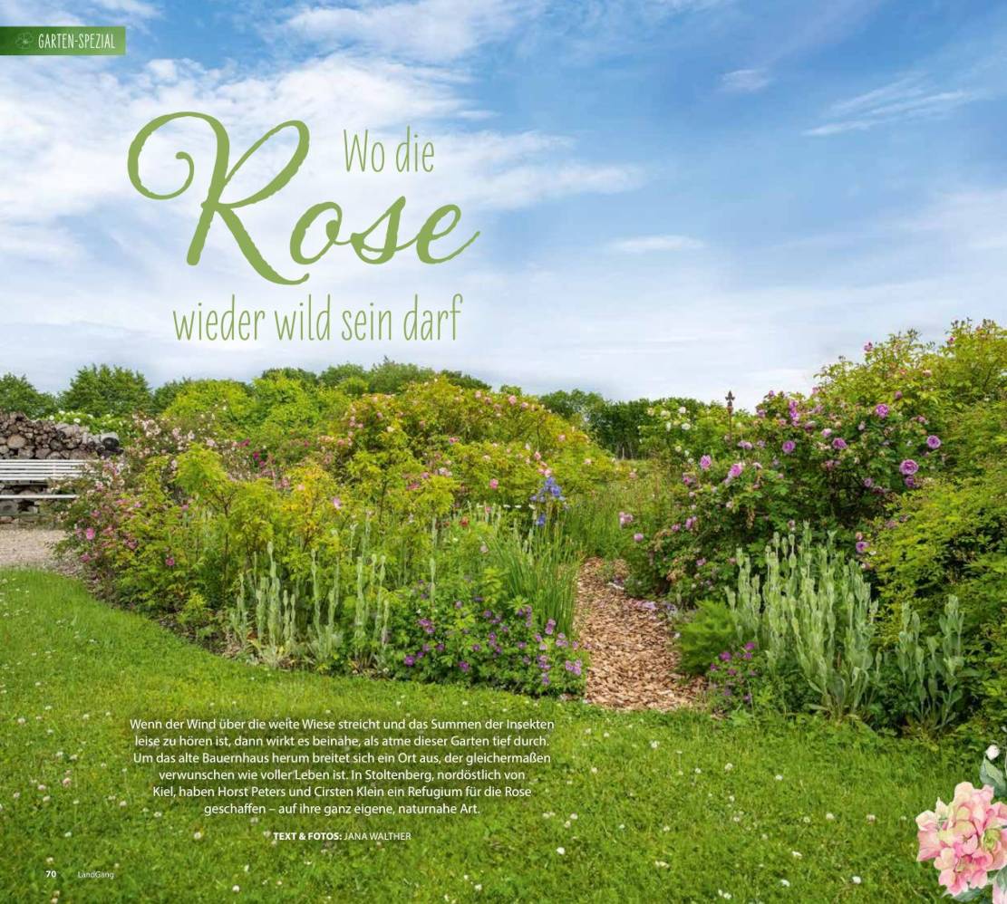 Artikel „Landgang“ Seite 1, Ausblick in den Garten.