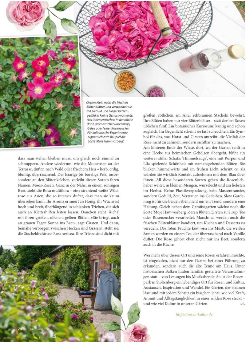 Artikel „Landgang“ Seite 1, Foto von Blütenblättern in einem Korb für Rosensirup, Foto von ‘Tove Jansson’ und Südterrasse mit Strandkorb.