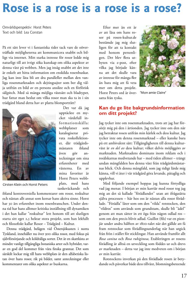 „Rosenbladet“, Artikel „Rose is a rose is a rose is a rose?“, Seite 1, Einleitung Lea Constan.