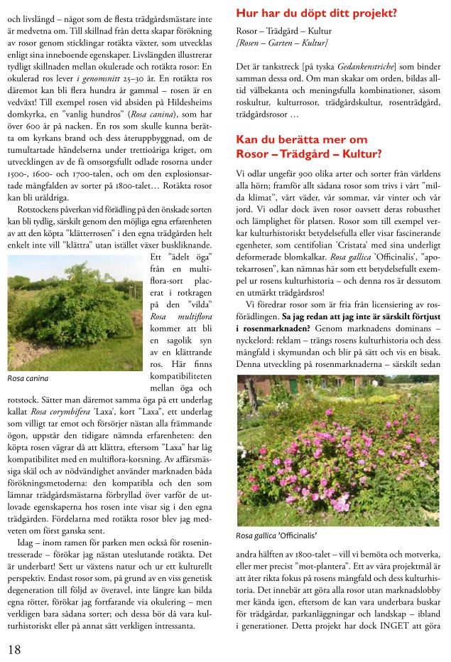 „Rosenbladet“, Artikel „Rose is a rose is a rose is a rose?“, Seite 2, Eckdaten zum Park.