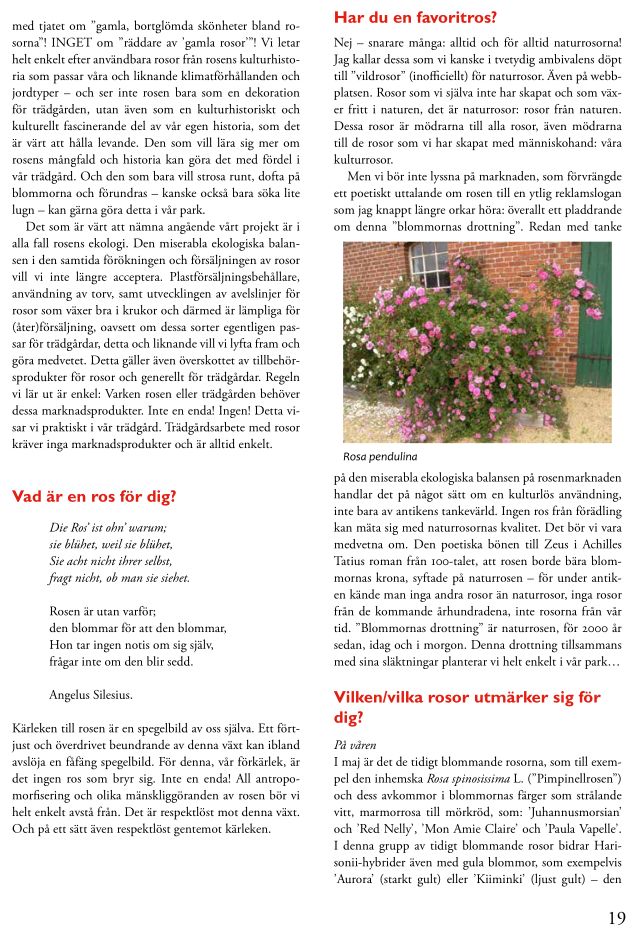 „Rosenbladet“, Artikel „Rose is a rose is a rose is a rose?“, Seite 3, Gedanken über Rosen-Kultur.
