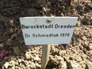 ‘Barockstadt Dresden’
