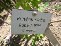 ‘General Kleber’