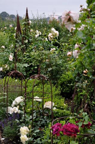Rosen und Gartenaccessoires