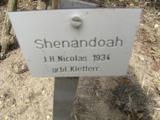 ‘Shenandoah’