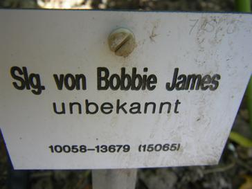 Schild: Slg. von ‘Bobby James’