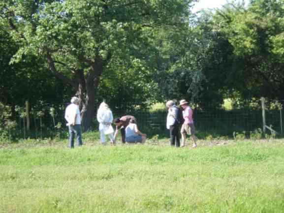 Erste Besucher des Gartens, Mai 2017.