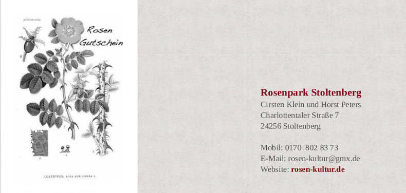 Bildtafel Rosa eglanteria (Weinrose)