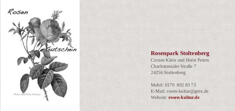 Bildtafel Rosa centifolia foliacea
