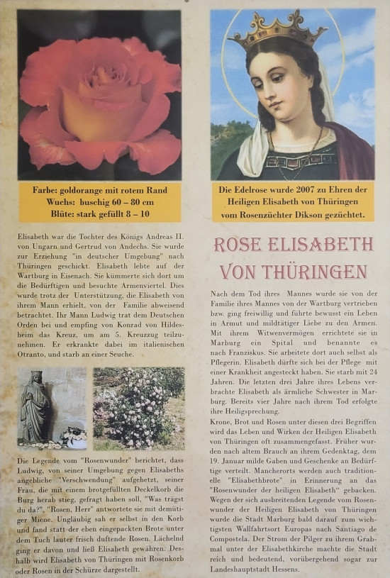 Bildtafel Dietz, Heilige Elisabeth von Thüringen
