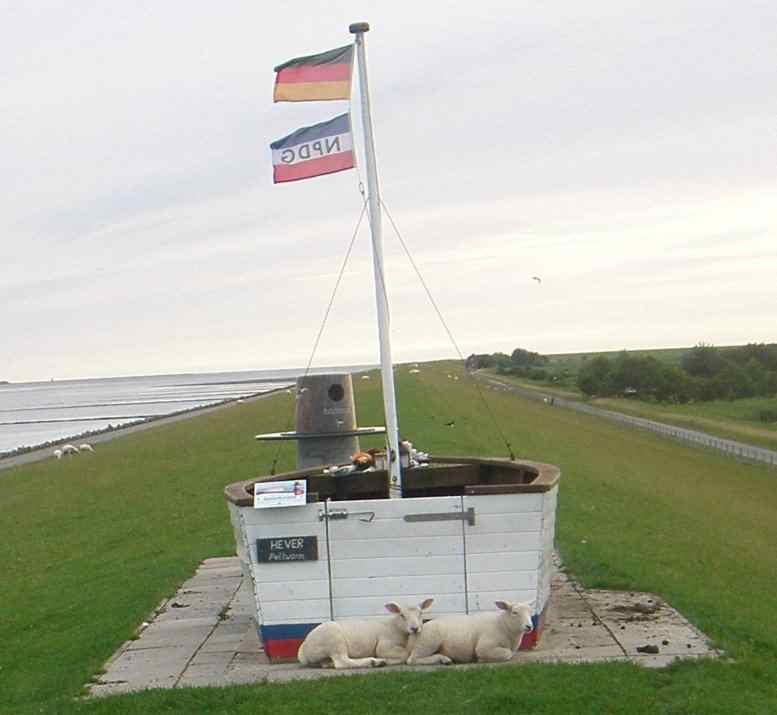 Zwei Lämmder liegend vor Gedenkstätte Schiffbrüchiger