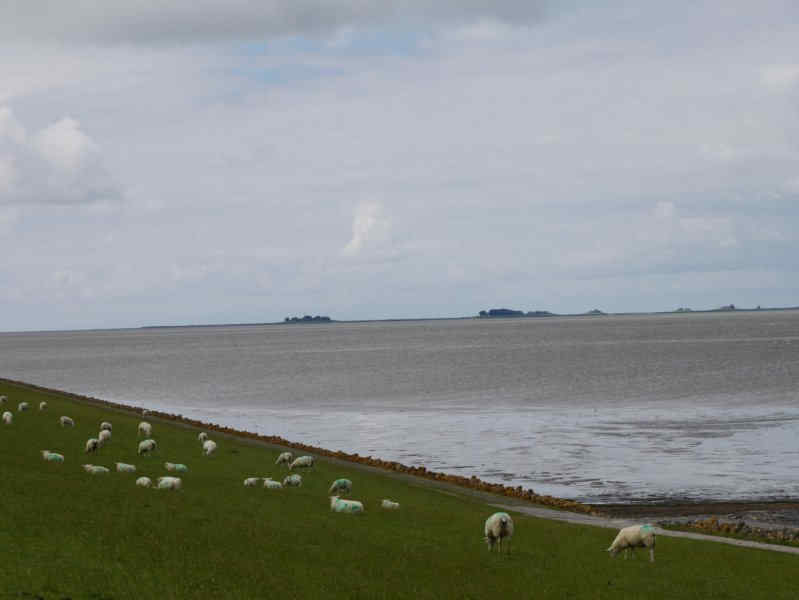 Halligen, Nordsee