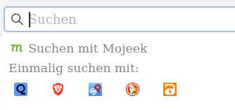 Suchleiste im Browser mir verschiedenen Suchmaschinen.