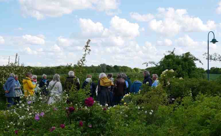 Gartenführung 23. Mai 2025 vor Tennenkonzert.