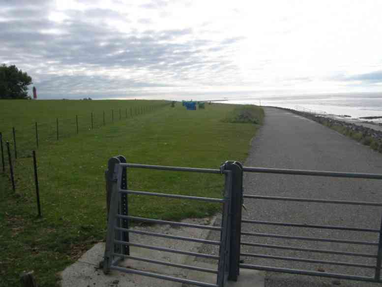 Strandkörbe von Schafen abgezäunt.