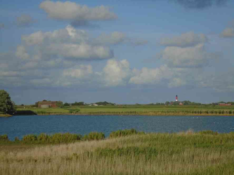 Felder, Teiche, Leuchtturm.