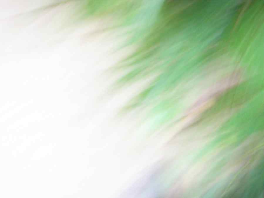 Grüne Streifen auf Foto.