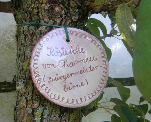 Rundes bräunliches Porzellanschild mit der Aufschrift „Köstliche von Charneu (Bürgermeisterbirne)“.