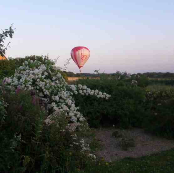 Roter Ballon, der unweit vom Park landet.
