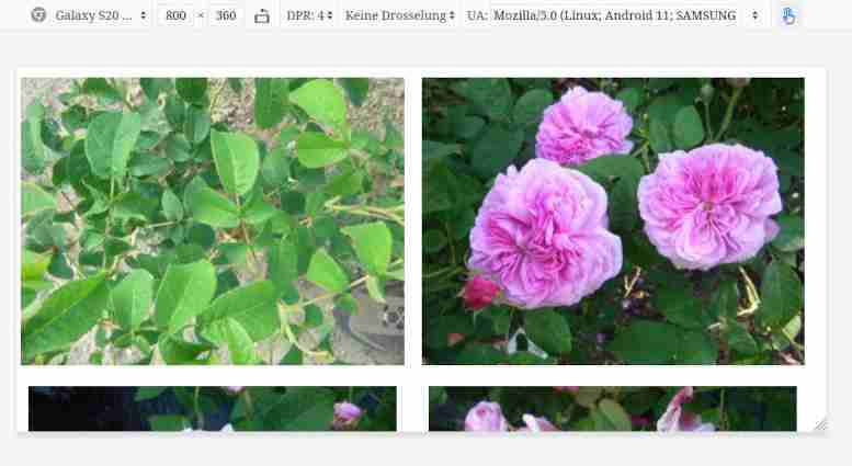 Screenshot Handyquerformat mit Rosenbilder, die den „Nach oben“-Button überlagern.