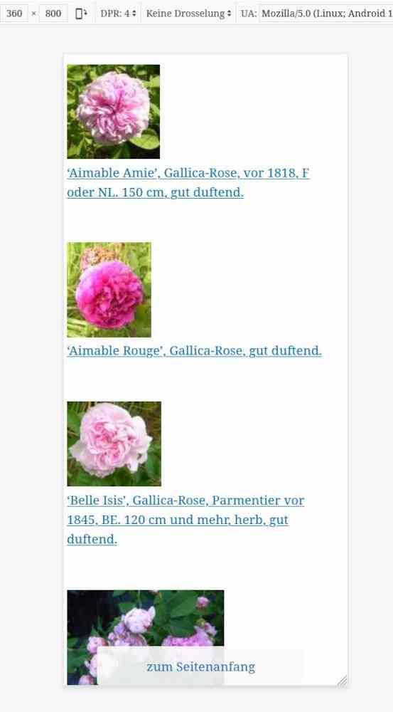 Übersichtseiten der Rosen im Handy-Langformat mit kleinen Fotos und Kurzbeschreibung sowie nutzbaren Button.