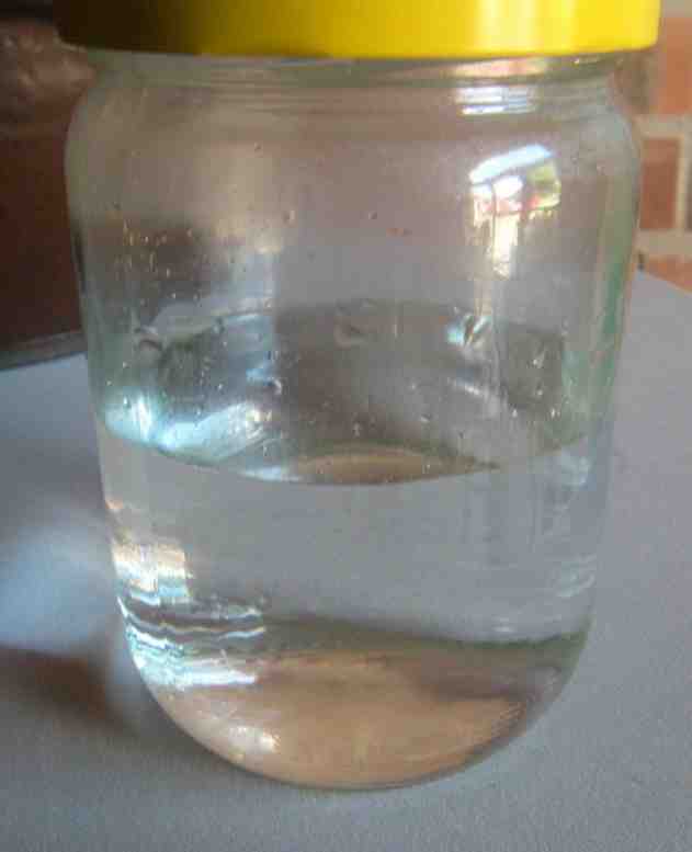 Rosenwasser in einem Weckglas.