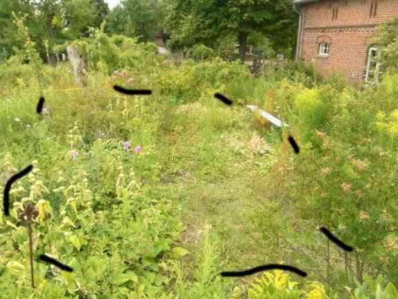 Schwarze Striche markieren auf Foto die Fläche der geplanten Pflasterung.