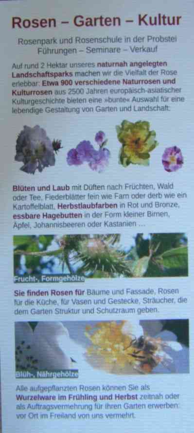 Handzettel Rosenpark 2026, Forderseite.