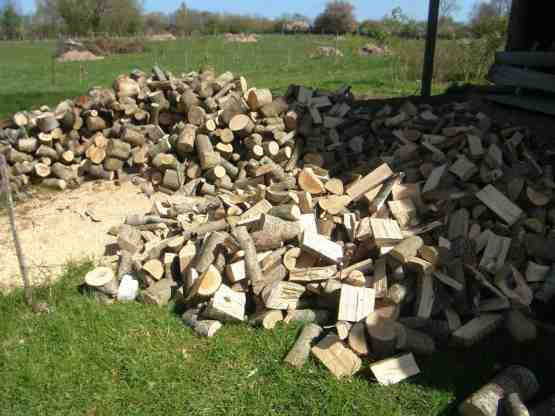 Gesägtes und gehacktes Holz aus dem Knick für den Kamin.