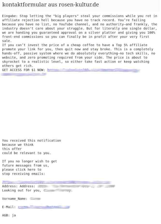 E-Mail eines Provisionen-Trottel, der mich reich machen will.