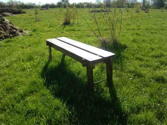 Holzparkbank mit Blick in den Park.