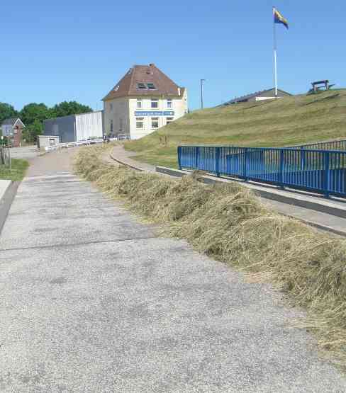 Heuschwaden am Straßenrand.