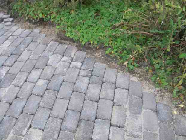 Pflasterung auslaufend zur Gartenfläche.