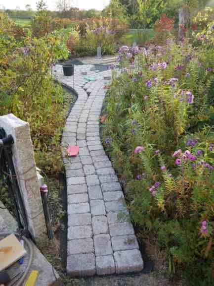 Gepflasterter schmaler Gartenweg.