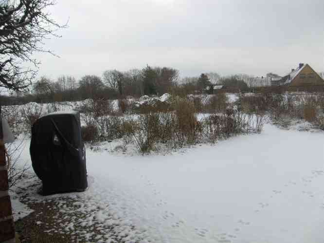 Schnee auf Südterrasse des Gartens am Strandkorb.