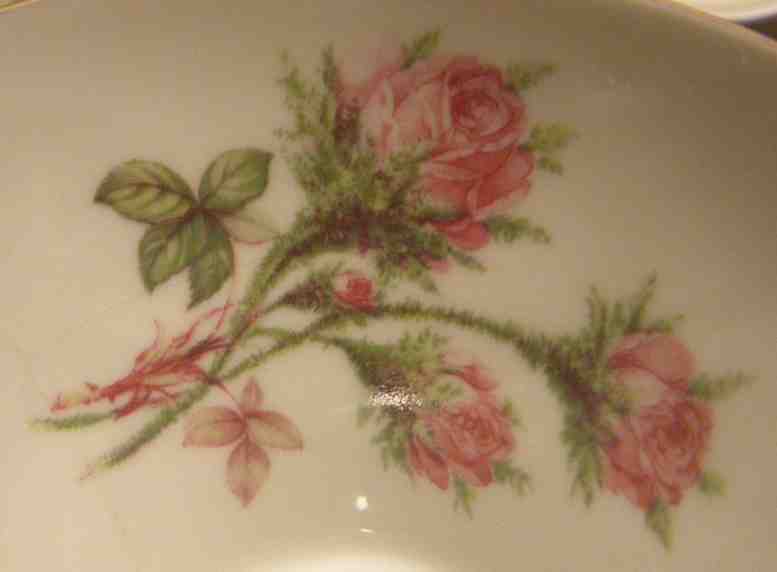 Moosrosenmotiv auf einen Kuchenteller, Nahaufnahme.