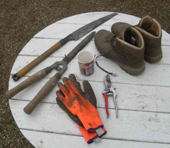 Utensilien fürs Rosenseminar.